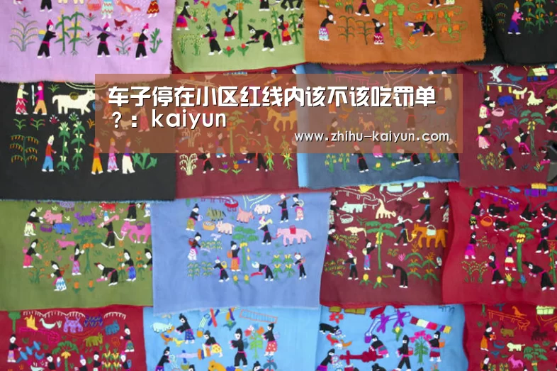 车子停在小区红线内该不该吃罚单?:kaiyun(图1) kaiyun官方网站